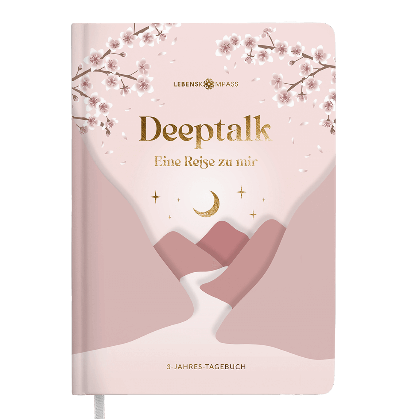 Deeptalk - 3-Jahres-Tagebuch